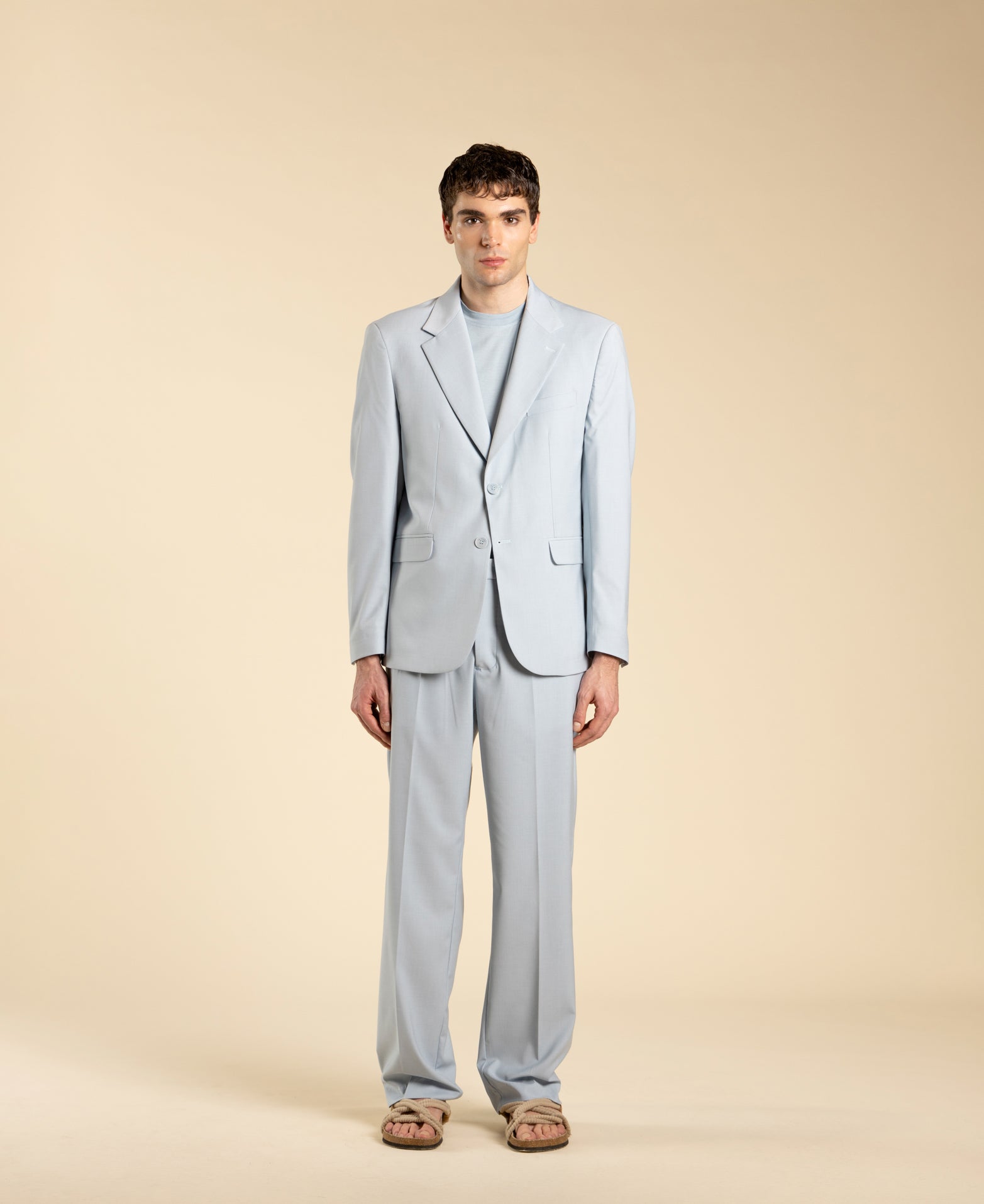 Veste à simple boutonnage - Poudre